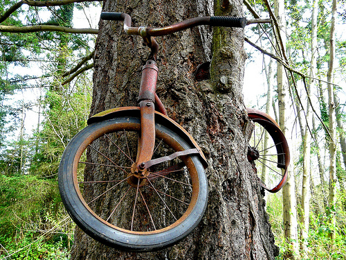 bicicleta-arvore