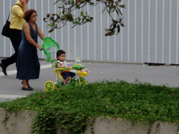 Carrinho de bebe